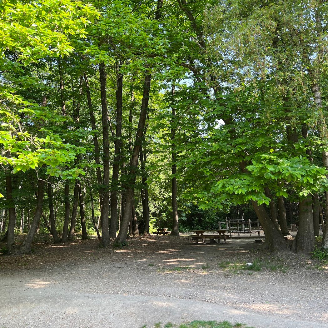 Parc forestier de Picardie 2